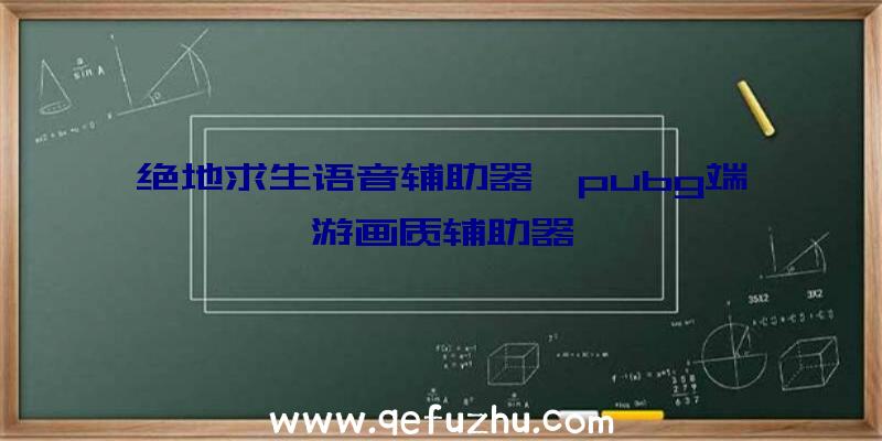 绝地求生语音辅助器、pubg端游画质辅助器