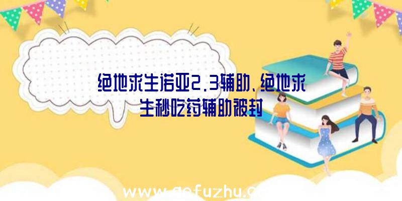 绝地求生诺亚2.3辅助、绝地求生秒吃药辅助被封