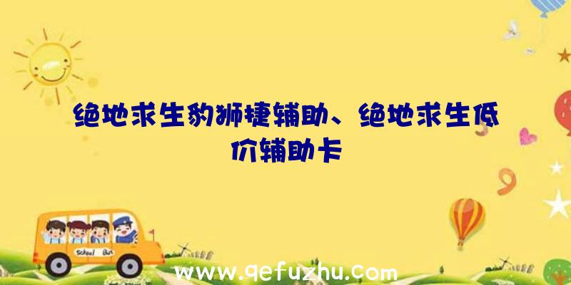 绝地求生豹狮捷辅助、绝地求生低价辅助卡