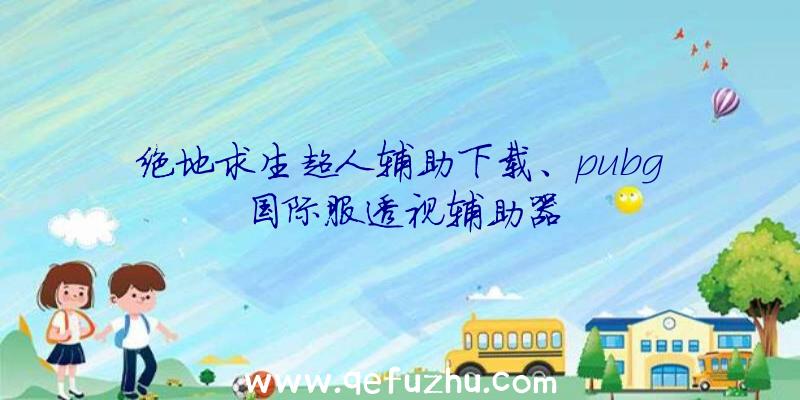 绝地求生超人辅助下载、pubg国际服透视辅助器