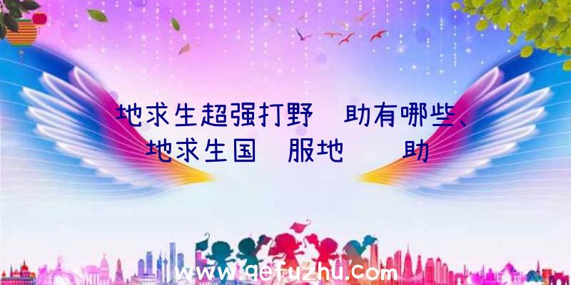 绝地求生超强打野辅助有哪些、绝地求生国际服地铁辅助