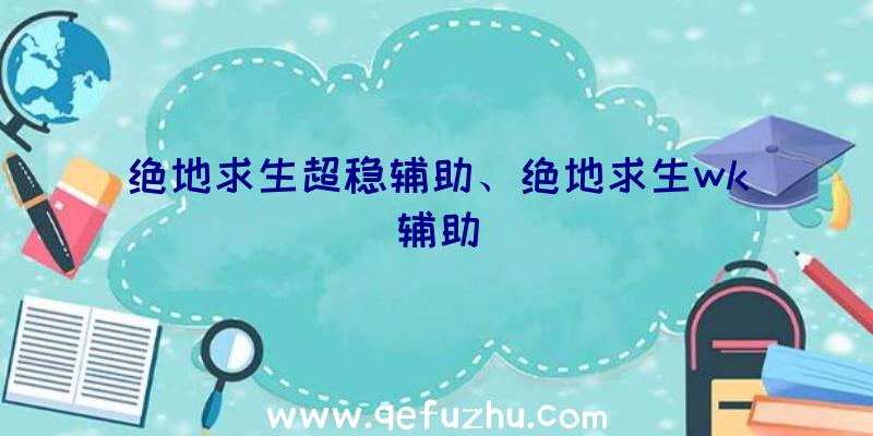 绝地求生超稳辅助、绝地求生wk辅助