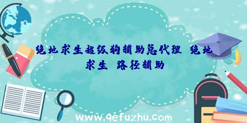 绝地求生超级狗辅助总代理、绝地求生