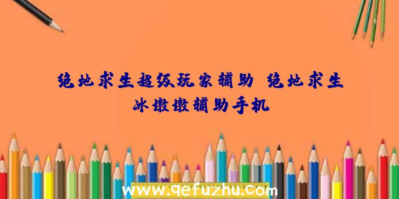 绝地求生超级玩家辅助、绝地求生冰墩墩辅助手机