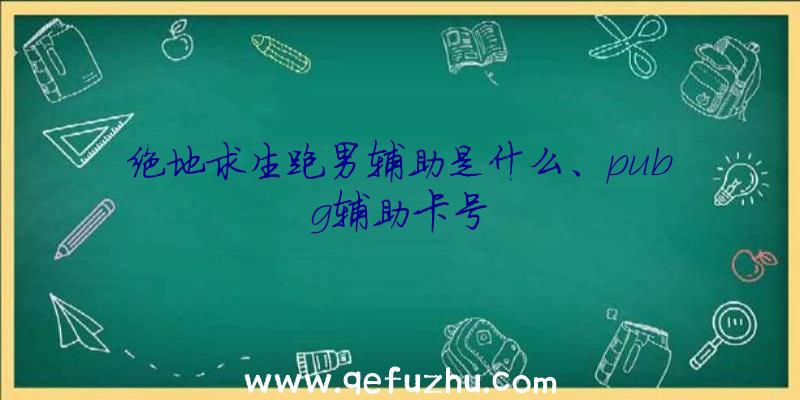 绝地求生跑男辅助是什么、pubg辅助卡号