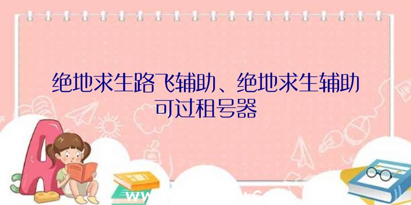 绝地求生路飞辅助、绝地求生辅助可过租号器