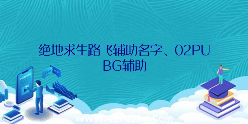 绝地求生路飞辅助名字、02PUBG辅助