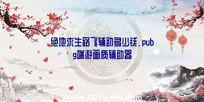 绝地求生路飞辅助多少钱、pubg端游画质辅助器