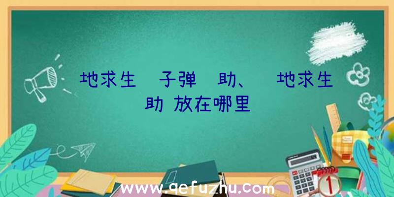 绝地求生躲子弹辅助、绝地求生辅助