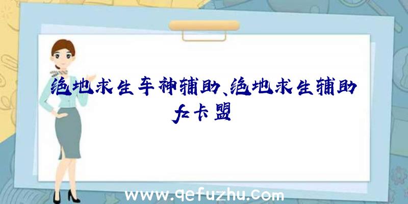 绝地求生车神辅助、绝地求生辅助fz卡盟