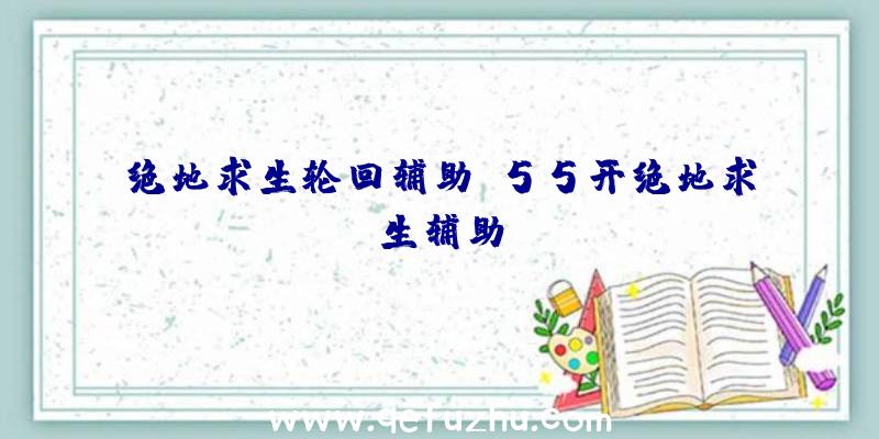 绝地求生轮回辅助、55开绝地求生辅助