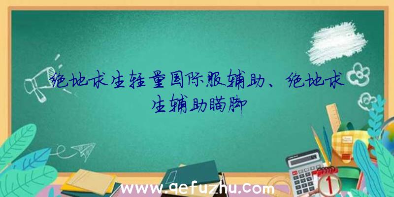 绝地求生轻量国际服辅助、绝地求生辅助瞄脚