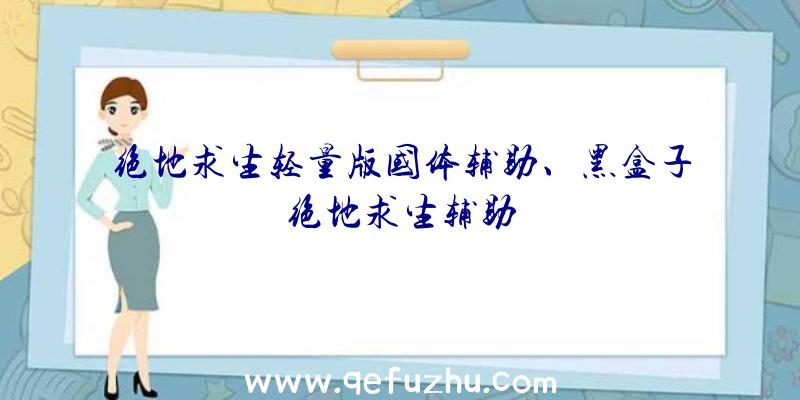 绝地求生轻量版国体辅助、黑盒子绝地求生辅助