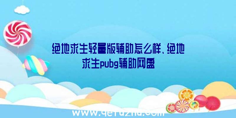 绝地求生轻量版辅助怎么样、绝地求生pubg辅助网盘