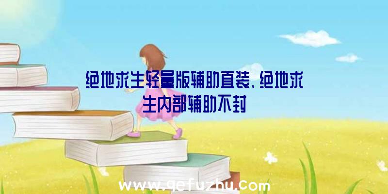 绝地求生轻量版辅助直装、绝地求生内部辅助不封