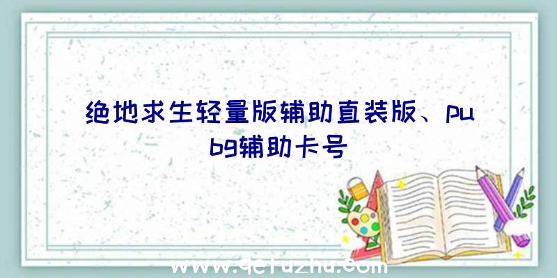 绝地求生轻量版辅助直装版、pubg辅助卡号