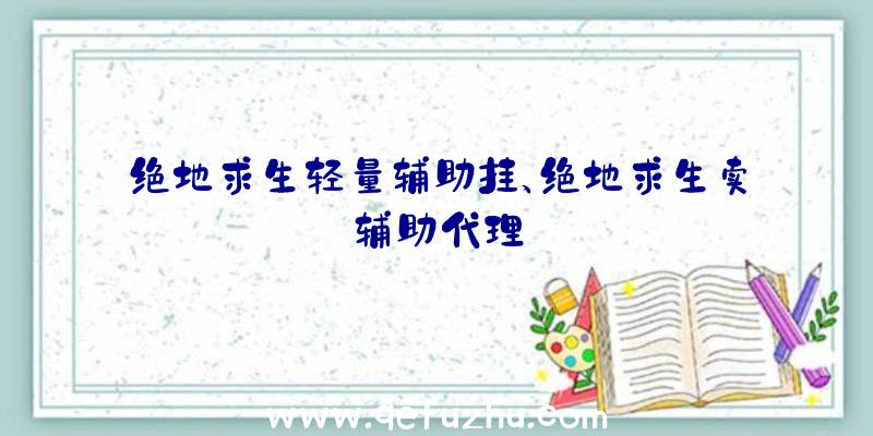 绝地求生轻量辅助挂、绝地求生卖辅助代理