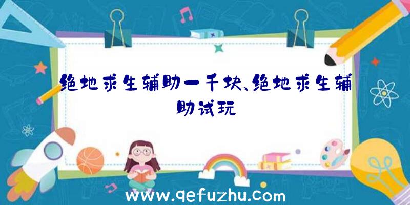 绝地求生辅助一千块、绝地求生辅助试玩