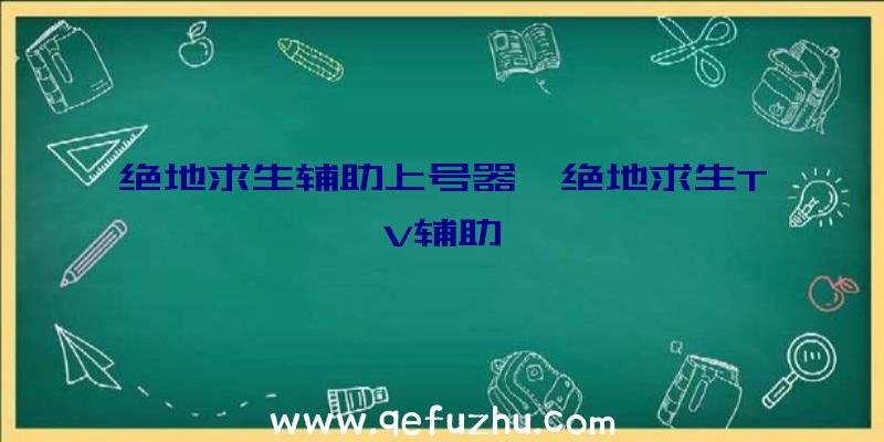 绝地求生辅助上号器、绝地求生TV辅助