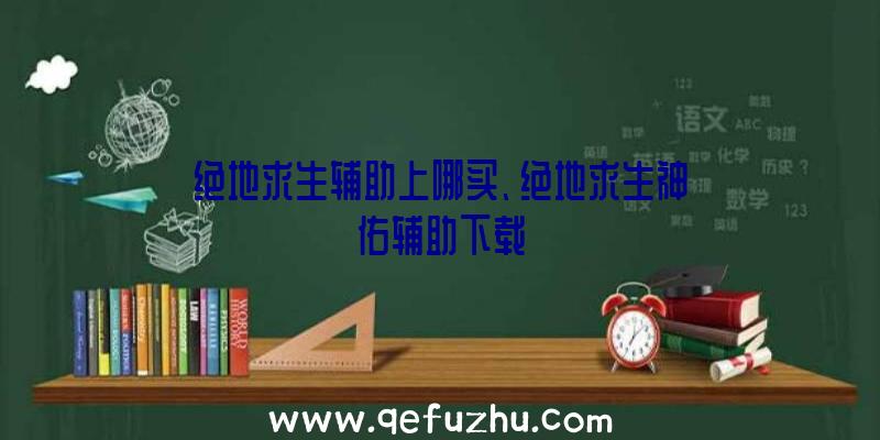 绝地求生辅助上哪买、绝地求生神佑辅助下载