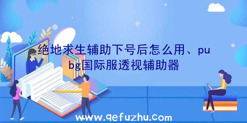 绝地求生辅助下号后怎么用、pubg国际服透视辅助器