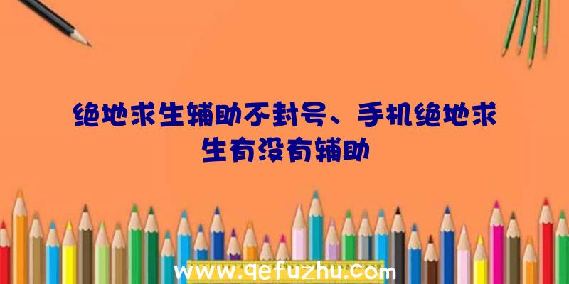 绝地求生辅助不封号、手机绝地求生有没有辅助