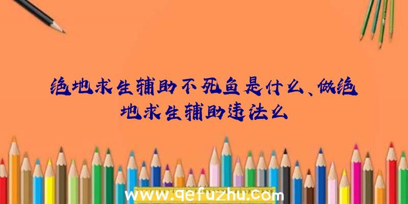 绝地求生辅助不死鱼是什么、做绝地求生辅助违法么