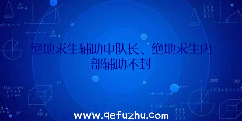 绝地求生辅助中队长、绝地求生内部辅助不封