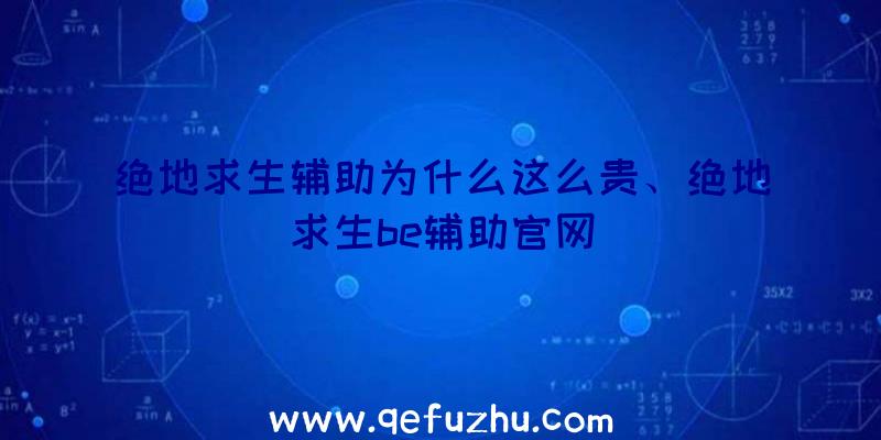 绝地求生辅助为什么这么贵、绝地求生be辅助官网