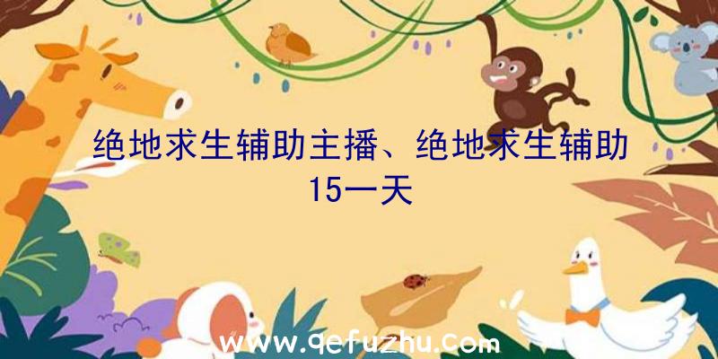 绝地求生辅助主播、绝地求生辅助15一天