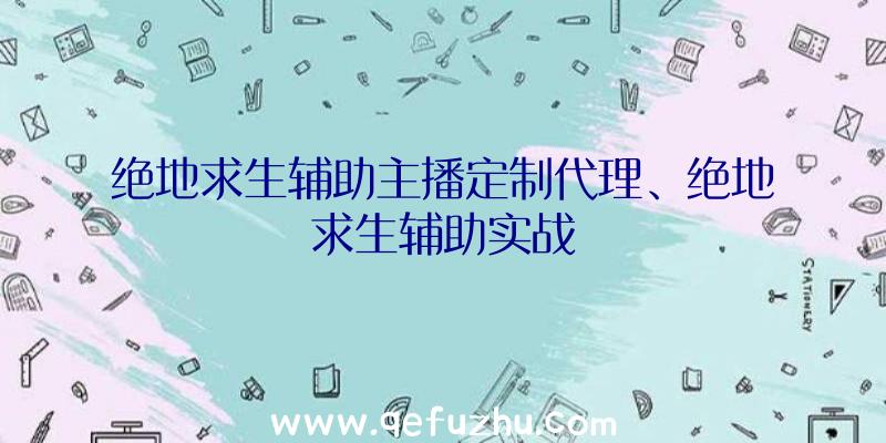 绝地求生辅助主播定制代理、绝地求生辅助实战