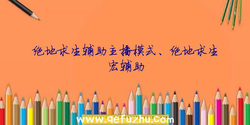绝地求生辅助主播模式、绝地求生宏辅助