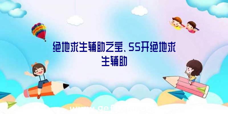 绝地求生辅助之宝、55开绝地求生辅助