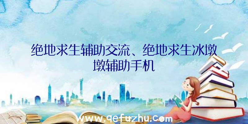 绝地求生辅助交流、绝地求生冰墩墩辅助手机