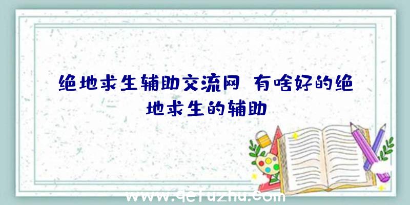 绝地求生辅助交流网、有啥好的绝地求生的辅助