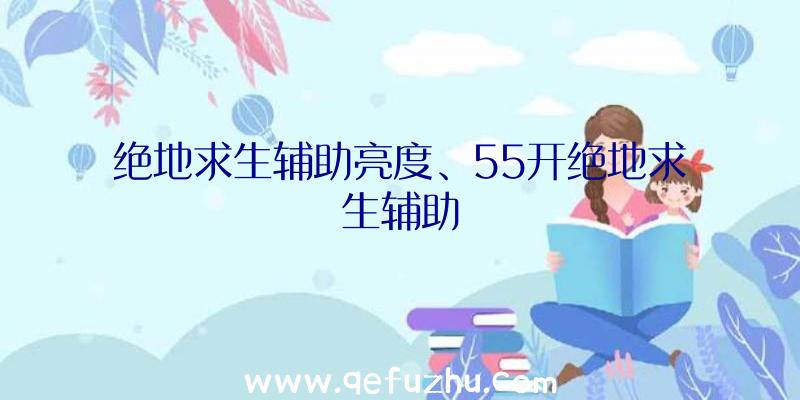 绝地求生辅助亮度、55开绝地求生辅助