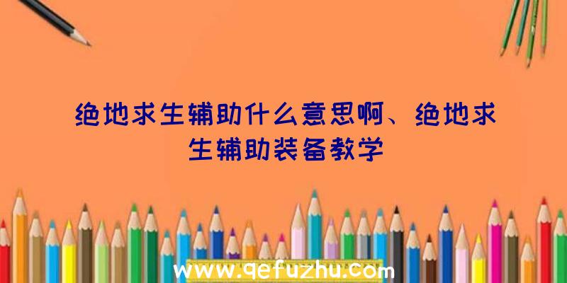 绝地求生辅助什么意思啊、绝地求生辅助装备教学