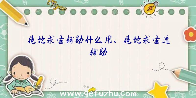 绝地求生辅助什么用、绝地求生透辅助