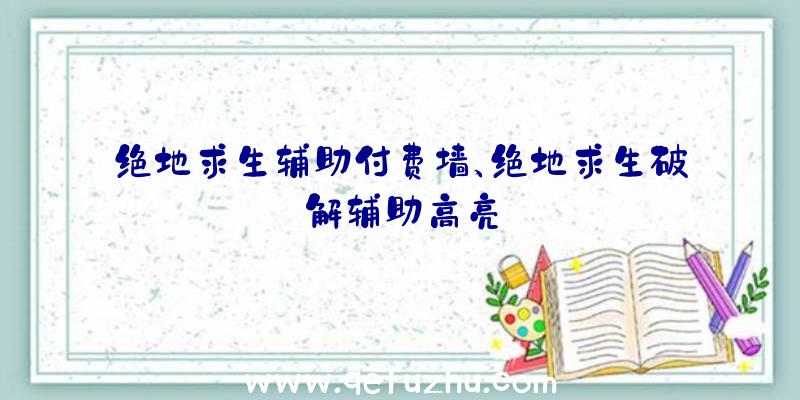 绝地求生辅助付费墙、绝地求生破解辅助高亮