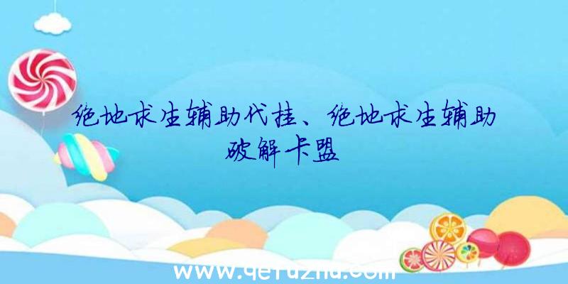 绝地求生辅助代挂、绝地求生辅助破解卡盟