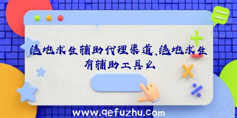 绝地求生辅助代理渠道、绝地求生有辅助工具么