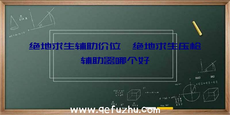 绝地求生辅助价位、绝地求生压枪辅助器哪个好