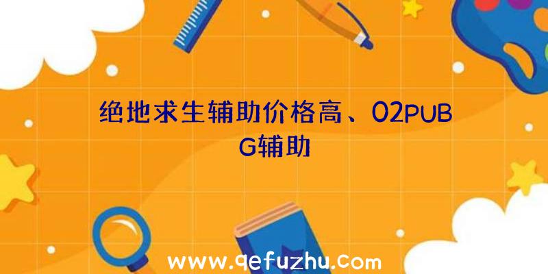 绝地求生辅助价格高、02PUBG辅助