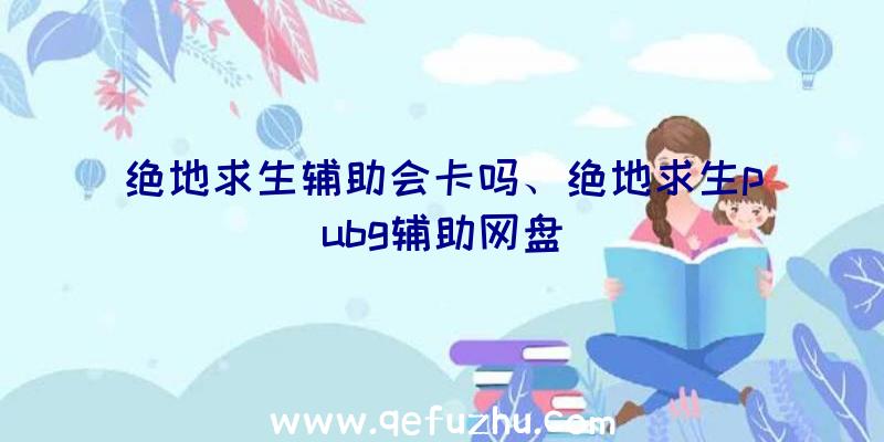 绝地求生辅助会卡吗、绝地求生pubg辅助网盘