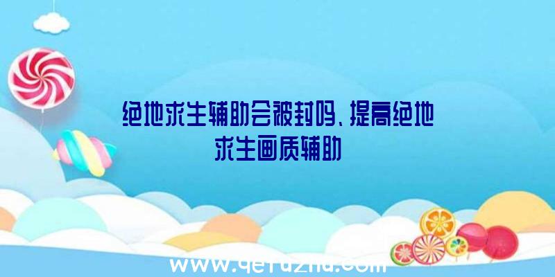 绝地求生辅助会被封吗、提高绝地求生画质辅助