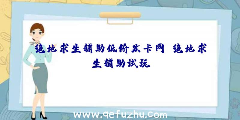 绝地求生辅助低价发卡网、绝地求生辅助试玩