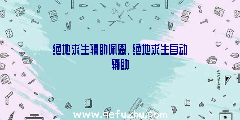 绝地求生辅助佩恩、绝地求生自动辅助