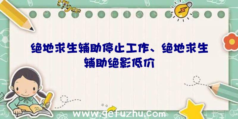 绝地求生辅助停止工作、绝地求生辅助绝影低价