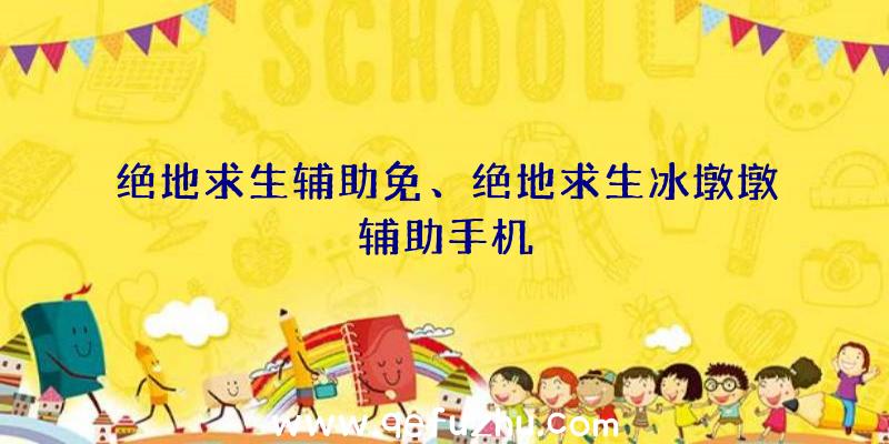 绝地求生辅助免、绝地求生冰墩墩辅助手机