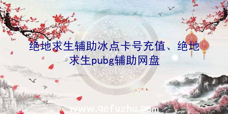 绝地求生辅助冰点卡号充值、绝地求生pubg辅助网盘